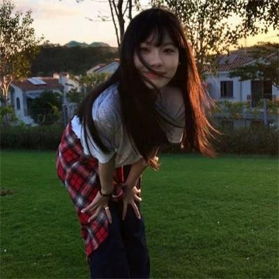 森林里的熊先生