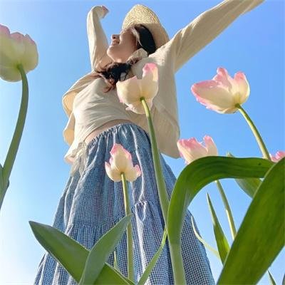 蓝松鸦行动